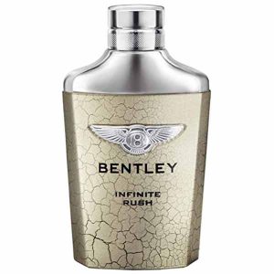 Bentley Infinite Rush